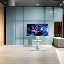 ROLINE 17.03.1262 - Support de télévision, 32 ... 55&quot;, 40kg, argent