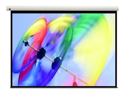 [DS-3120-PMG] OPTOMA DS-3120-PMG ECRAN MURAL 305cm 240cm x 190cm